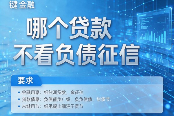 哪个贷款不看负债征信