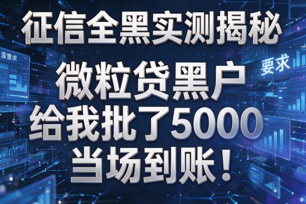 征信全黑实测揭秘微粒贷黑户给我批了5000当场到账！