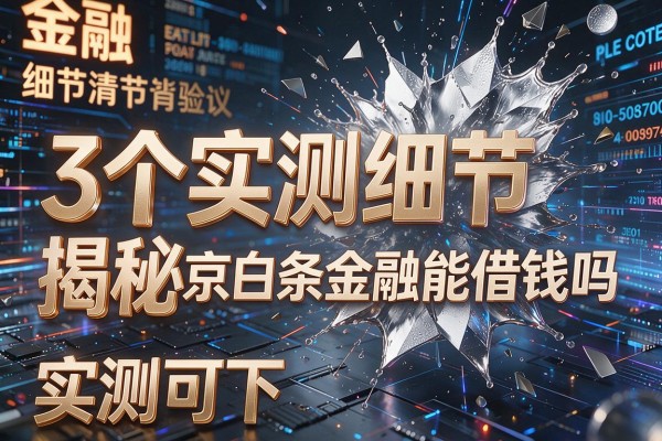 3个实测细节揭秘京东白条金融能借钱吗实测可下!