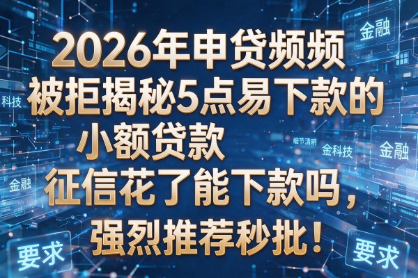 2026年申贷频频被拒揭秘5点易下款的小额贷款征信花了能下款吗强烈推荐秒批!
