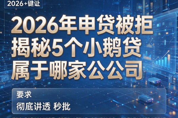 2026年申贷被拒揭秘5个小鹅贷属于哪家公司彻底讲透秒批!