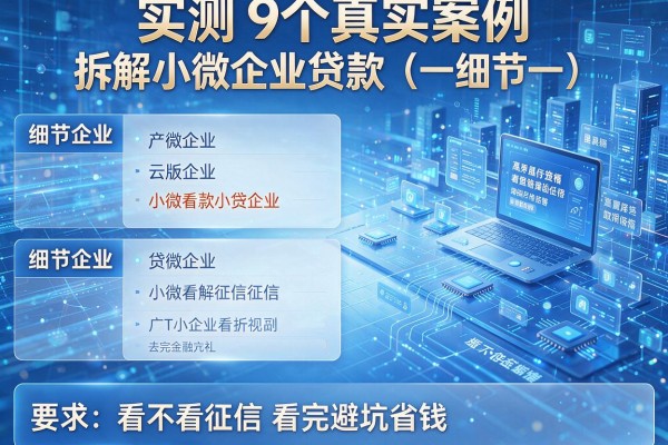 实测9个真实案例拆解小微企业贷款看不看征信看完避坑省钱!