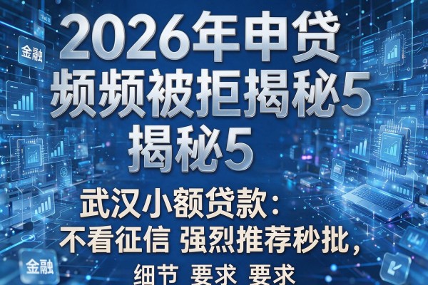 2026年申贷频频被拒揭秘5款武汉小额贷款不看征信强烈推荐秒批!