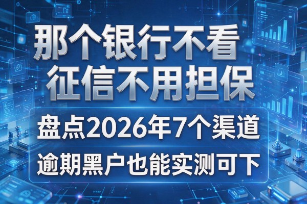 那个银行不看征信不用担保 盘点2026年7个渠道 逾期黑户也能实测可下!