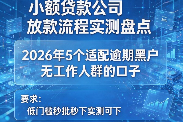 小额贷款公司放款流程实测盘点 2026年5个适配逾期黑户无工作人群的口子 低门槛秒批秒下实测可下!