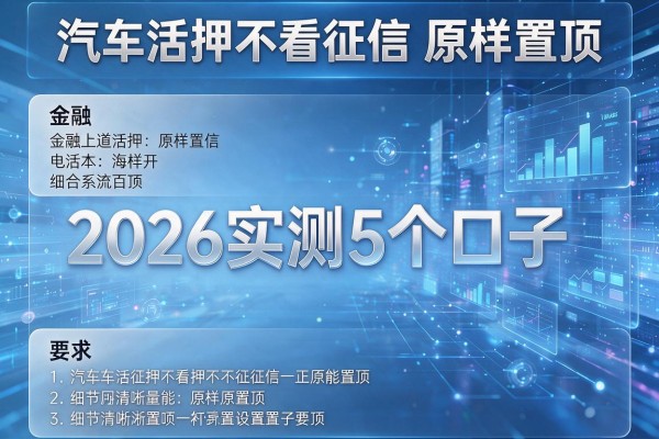 汽车活押不看征信原样置顶 2026实测5个口子