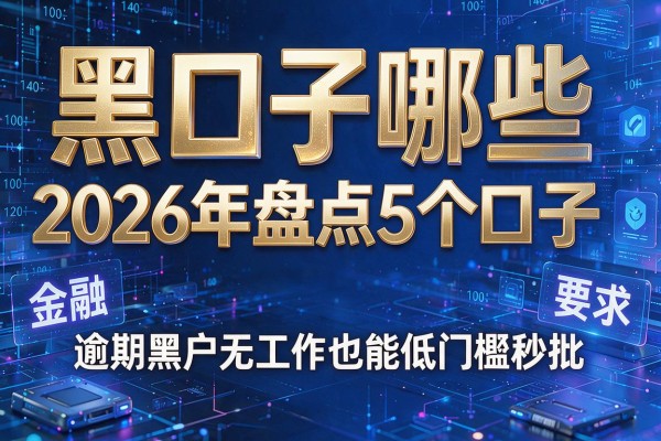 黑口子哪些 2026年盘点5个口子 逾期黑户无工作也能低门槛秒批