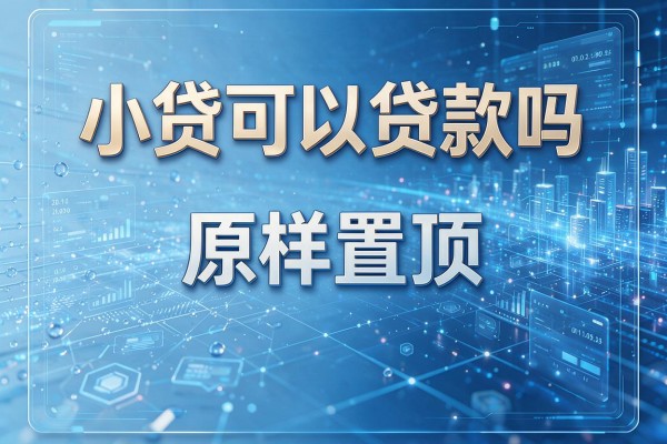 小贷可以贷款吗原样置顶